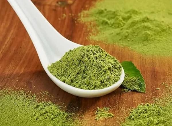 تصویر 3 از فروش پودر میوه کیوی + قیمت خرید به صرفه